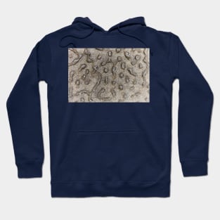 Spotted Volcanic Rock Formation Hoodie